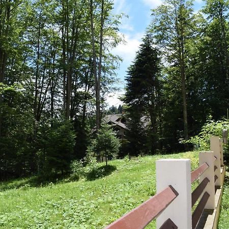 Alpin Residence Sinaia Eksteriør bilde