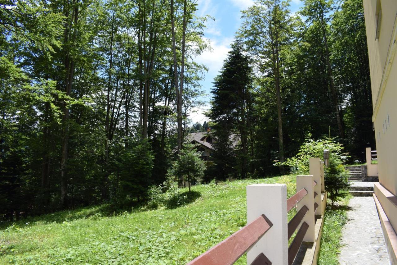 Alpin Residence Sinaia Eksteriør bilde